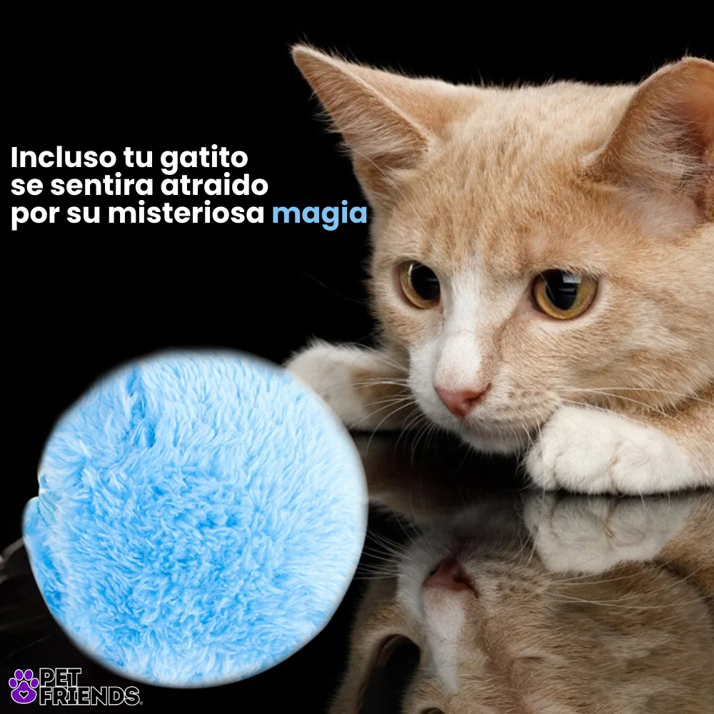 Pelota automatica para mascotas - Pet Bouncer