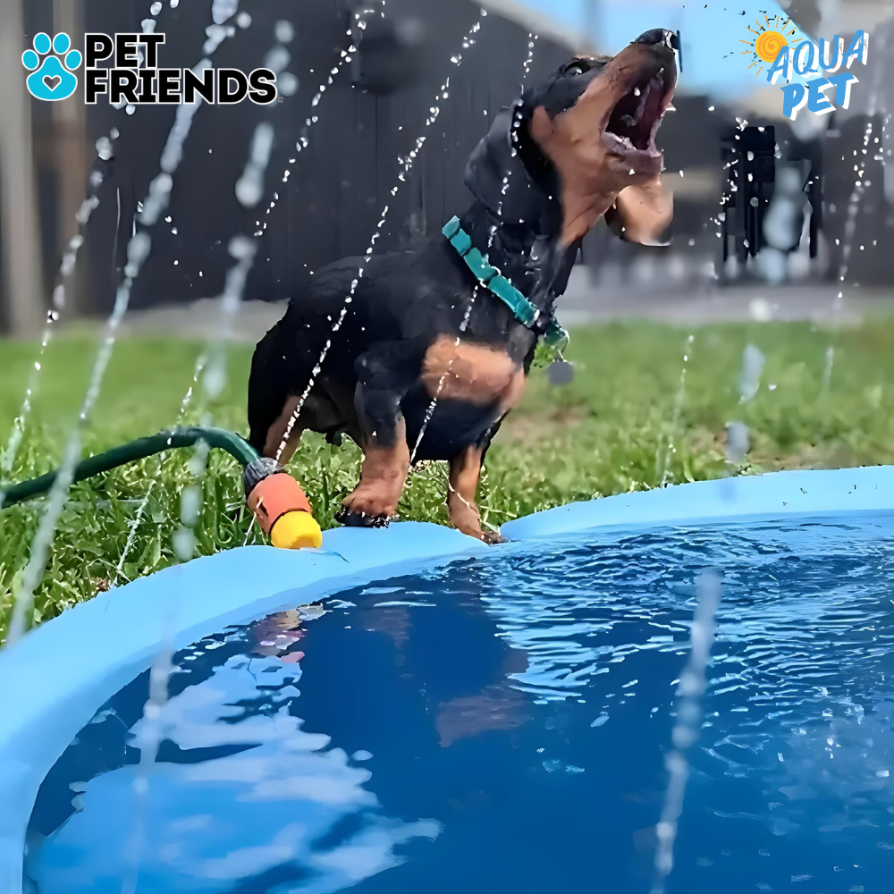 Alberca plegable para mascotas con chorros de agua - AquaPet