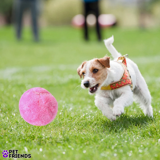 Pelota automatica para mascotas - Pet Bouncer